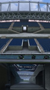 Seahawks Stadium Textures
